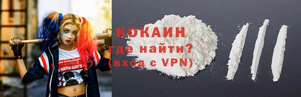 дживик Арсеньев