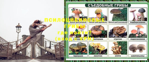 винт Алексеевка