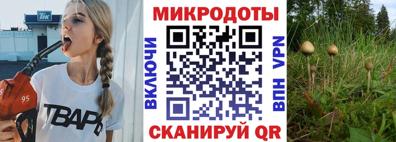 Псилоцибиновые грибы мицелий  omg ССЫЛКА  Южно-Сухокумск  магазин  наркотиков 